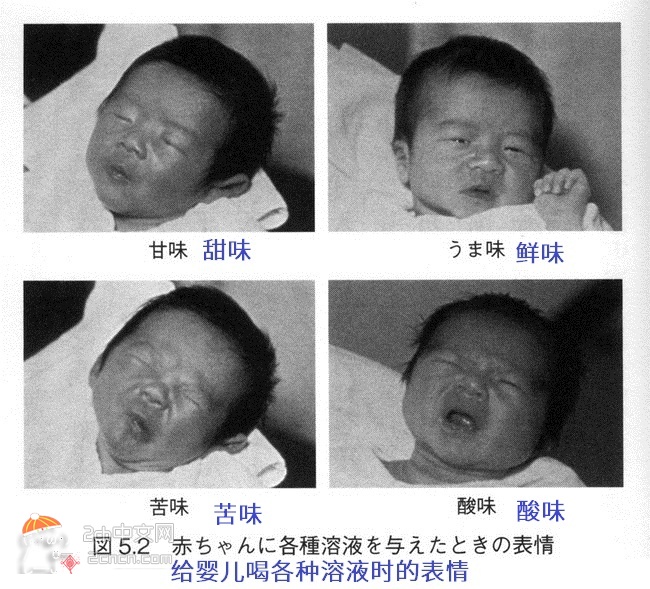 2ch：给婴儿尝试各种味道时的表情变化