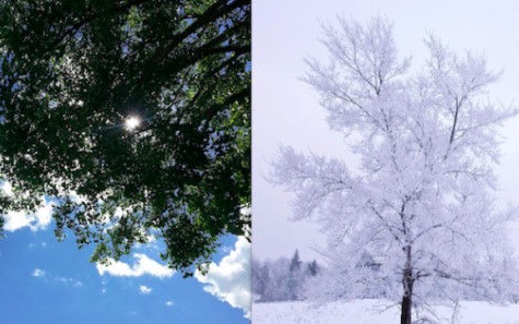 2ch：夏天和冬天哪个更难熬？