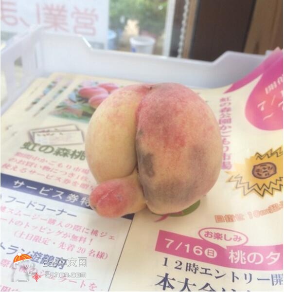 2ch：【好消息】我的桃子长了丁丁