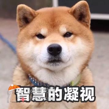 2ch：【悲报】日本男人凝视了一下女性就被报警了