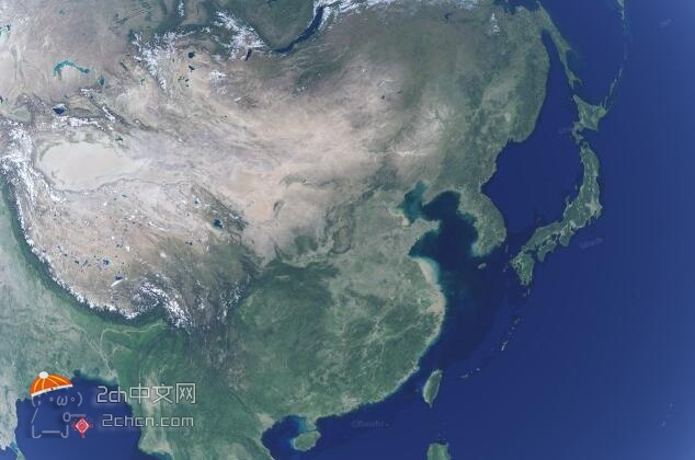 2ch：中国的狗狗去市场上买东西的结果，在社交平台上火了wwww