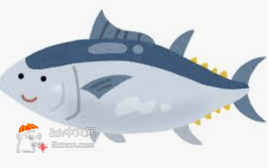 2ch：【照片】发现了一种恶心的鱼wwww