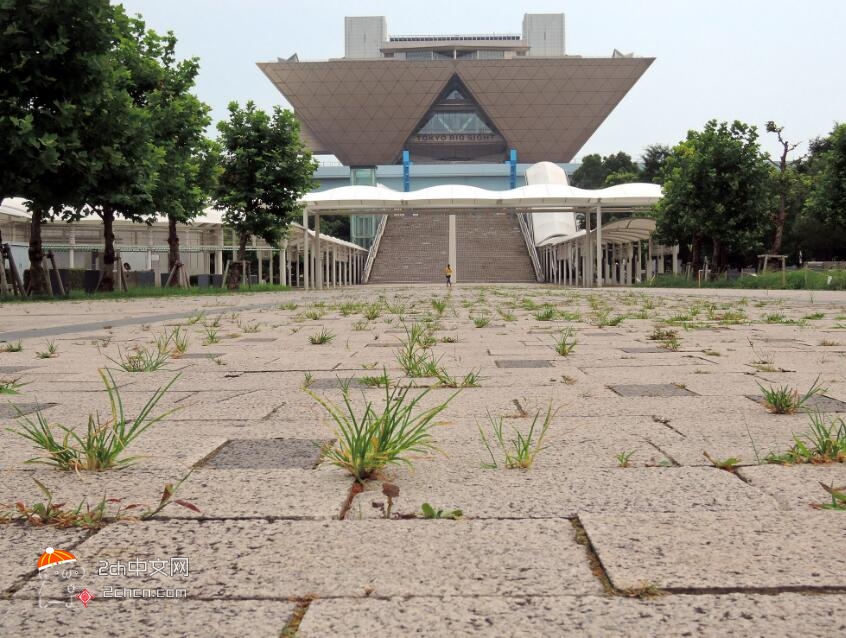 2ch：【悲报】东京国际展示场活动太少，地上开始长草了wwwww