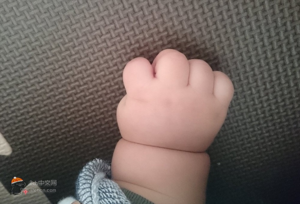 2ch：婴儿的手基本等于面包www