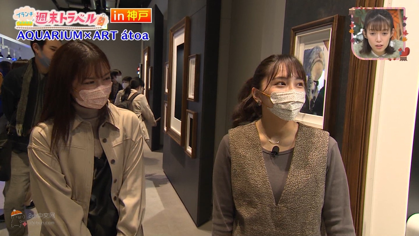 2ch：日本妹子去水族馆闻企鹅屁股的结果