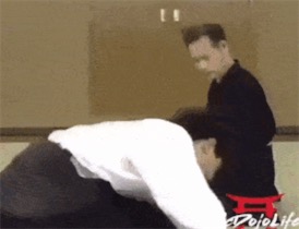 2ch：帮我看看这种功夫是真的还是假的
