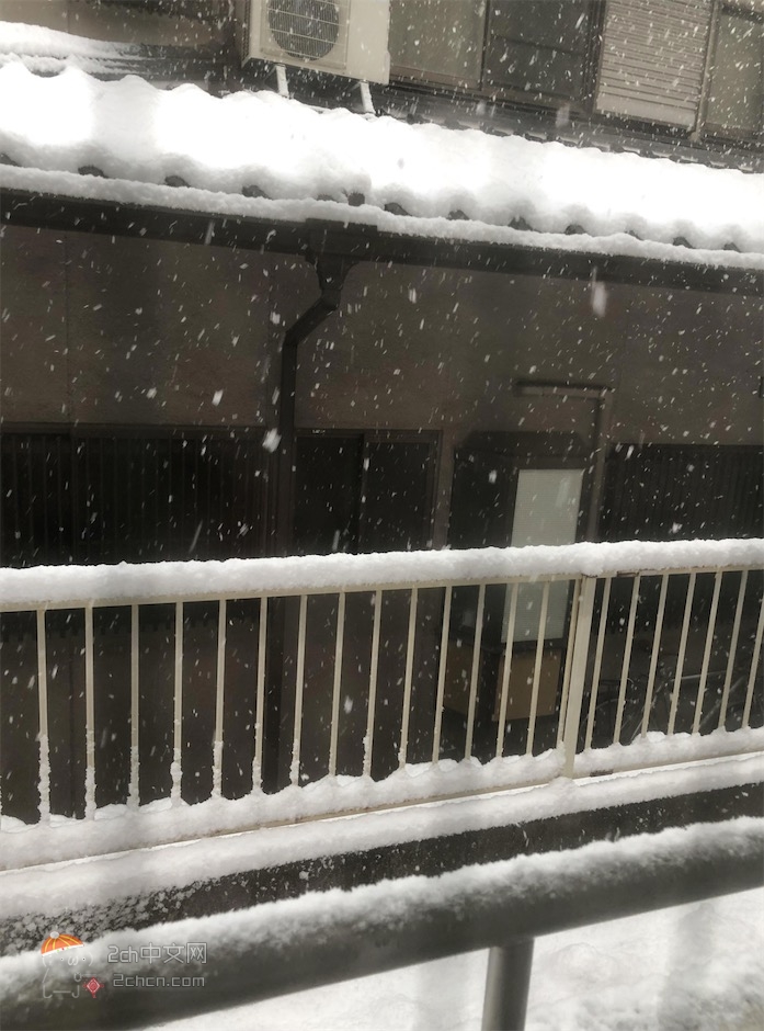 2ch：名古屋完全终结wwww