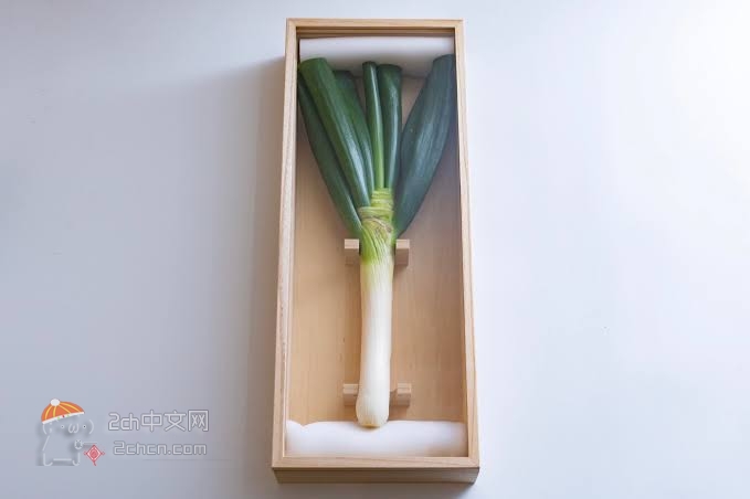 2ch：这就是一万日元一根的大葱“蒙娜丽莎”