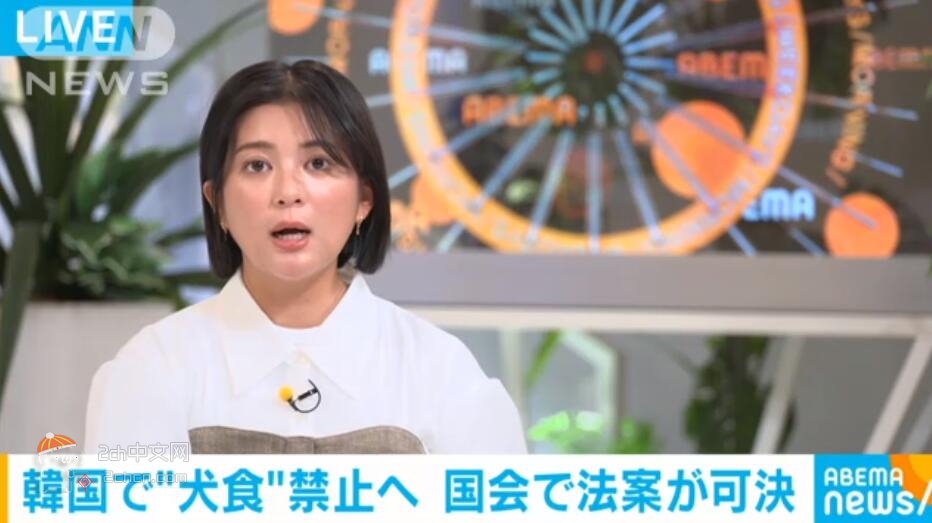 2ch：【食文化消亡】韩国宣布完全结束吃狗肉的文化，日本的鲸鱼肉料理也会那样吧