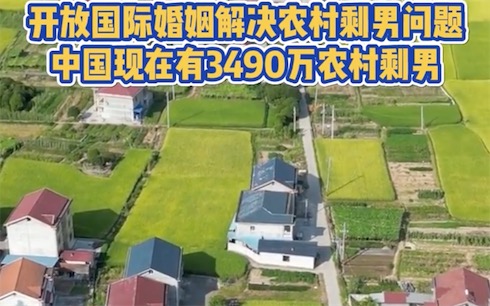 2ch：中国学者提议引进外国新娘解决3500万剩男问题 女性反对，男性支持