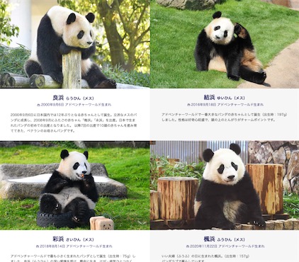 2ch：日本最大熊猫观赏地将失去所有熊猫，当地町长「中方多次要求建立友好城市关系，我们一直是拒绝的」