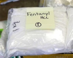 2ch：导致数万美国人死亡的芬太尼，是中国团伙经由日本运送过去的