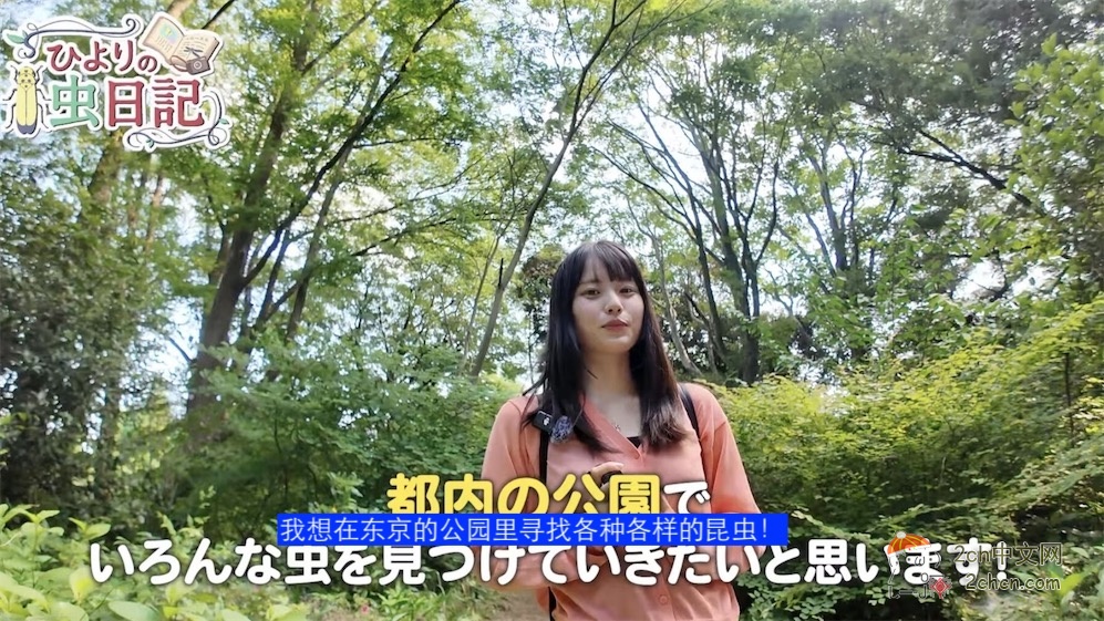 2ch：日本昆虫系美少女YouTuber爆炸式诞生🐛