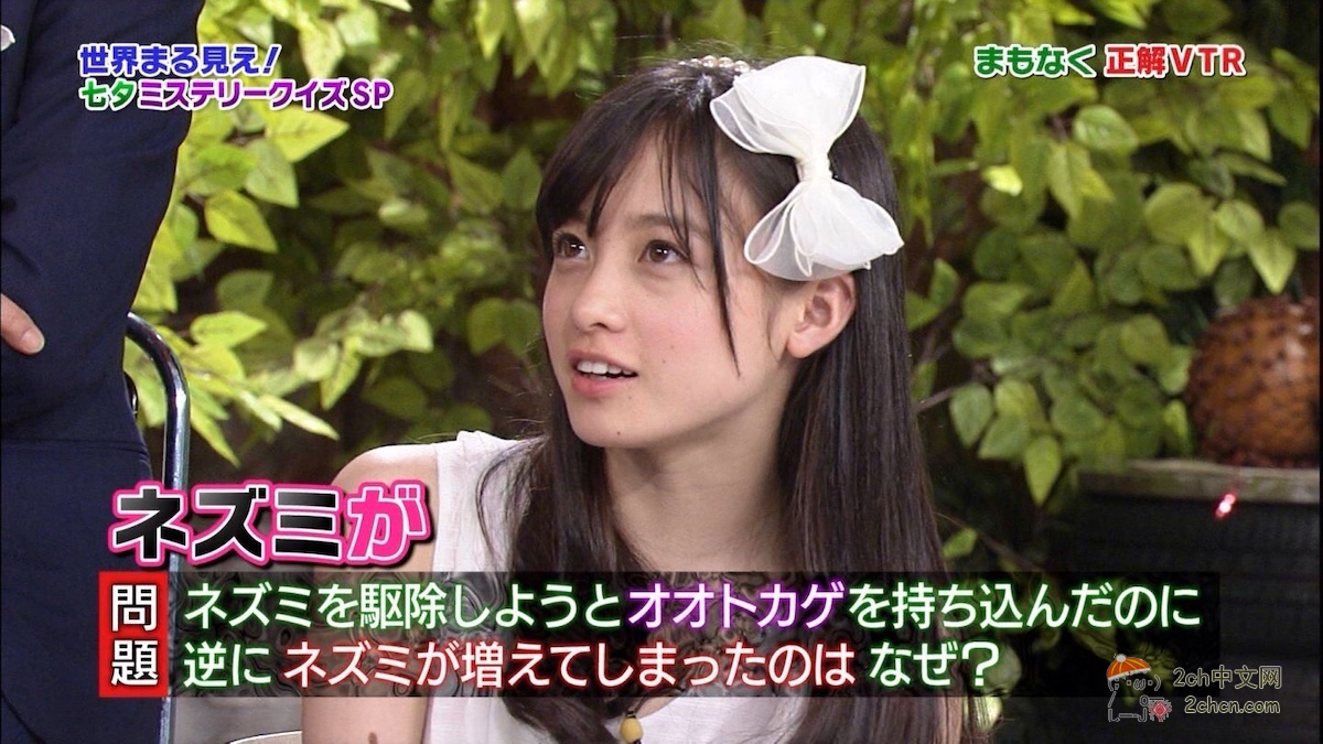 2ch：初期的桥本环奈形象太好了