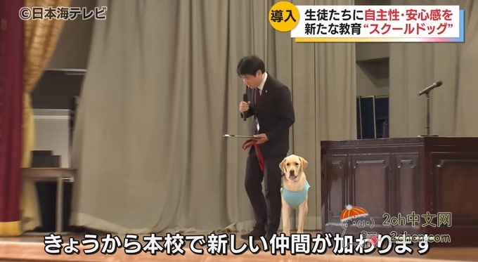 2ch：发现了女生颜值超高的高中