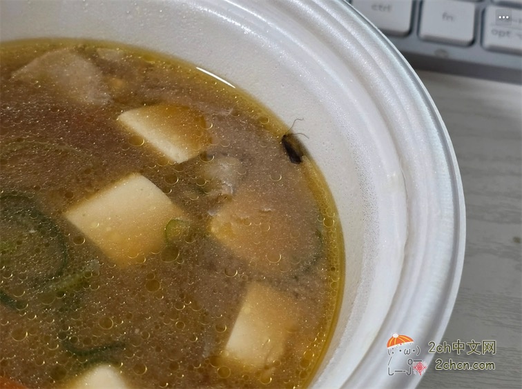 2ch：【慎入】打包回家的豚汁里出现了虫子……
