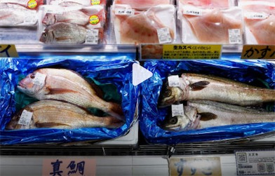 2ch：【速报】中国通知日本，停止进口日本水产品