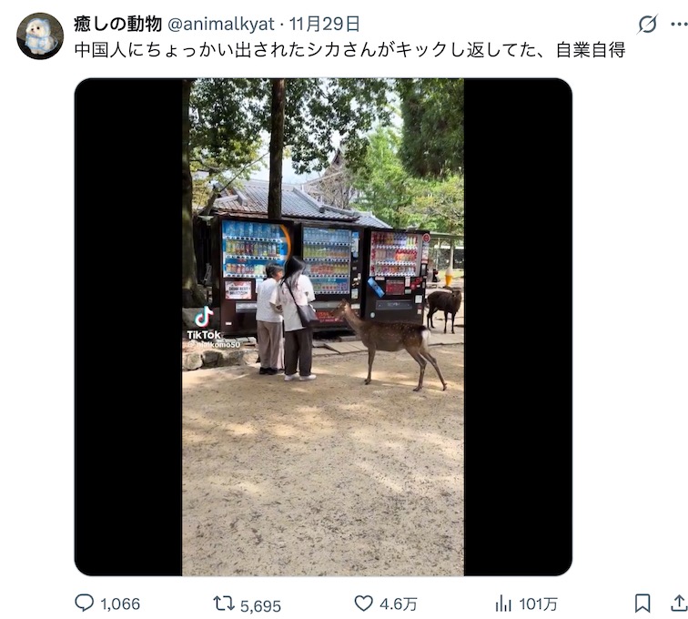 只要黑中国人就有流量，日本萌宠博主发了个中国人与鹿的视频，马上就火了