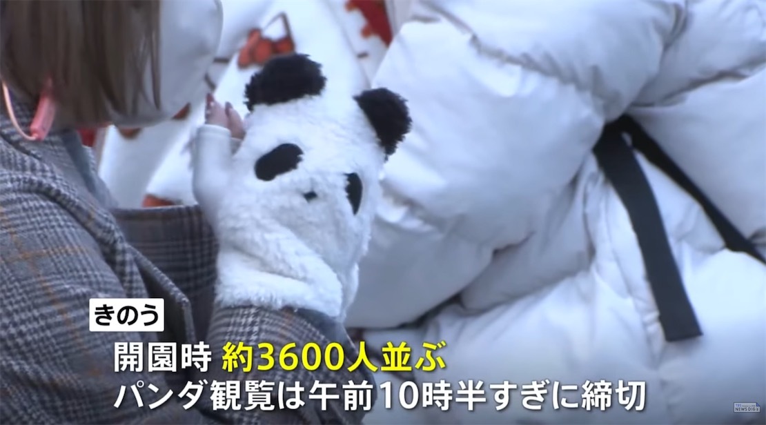 2ch：大熊猫即将回中国，日本人天还没亮就排起长队，动物园开门时已有3600人等候