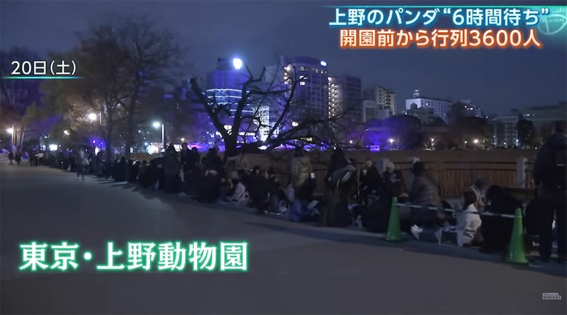 2ch：大熊猫即将回中国，日本人天还没亮就排起长队，动物园开门时已有3600人等候