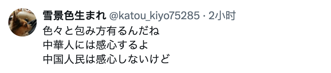 中国大使馆X账号突然发布包饺子视频，日本网民大赞「每天都发吧」「好感度暴涨」