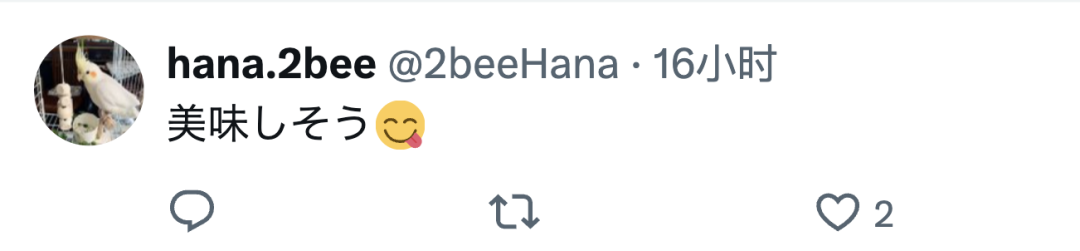 中国大使馆X账号突然发布包饺子视频，日本网民大赞「每天都发吧」「好感度暴涨」