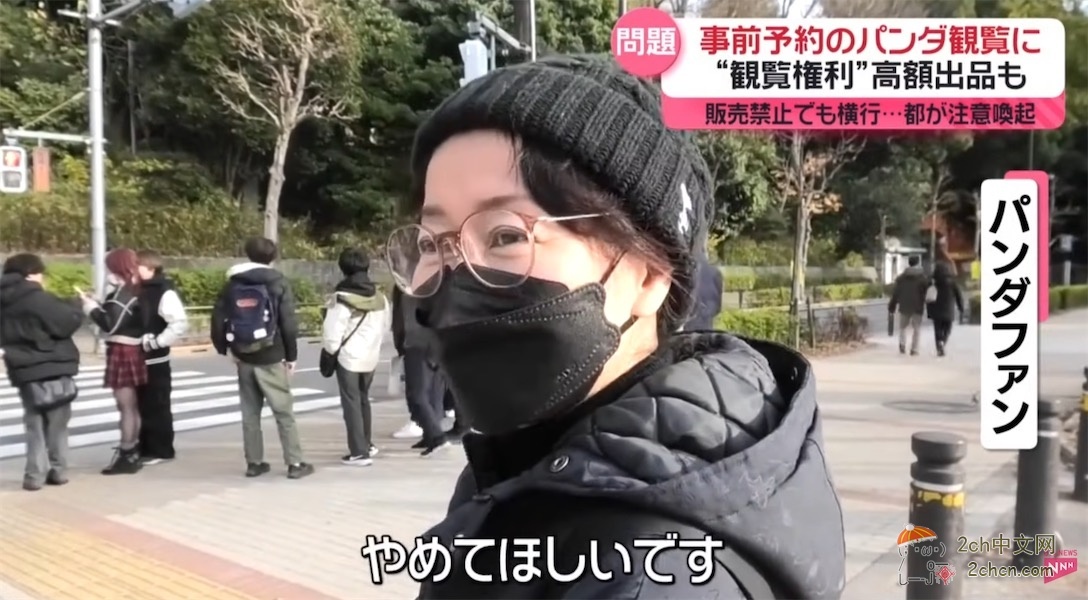 日本人开始了“熊猫预约争夺战” 黄牛在网上高价倒卖