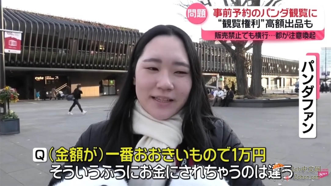 日本人开始了“熊猫预约争夺战” 黄牛在网上高价倒卖