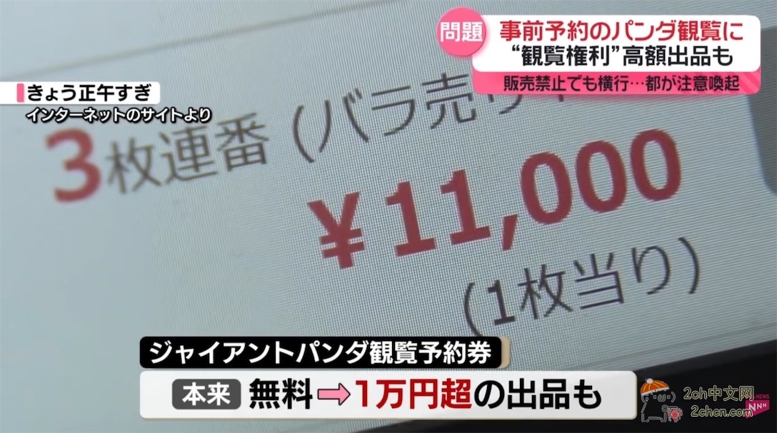 日本人开始了“熊猫预约争夺战” 黄牛在网上高价倒卖