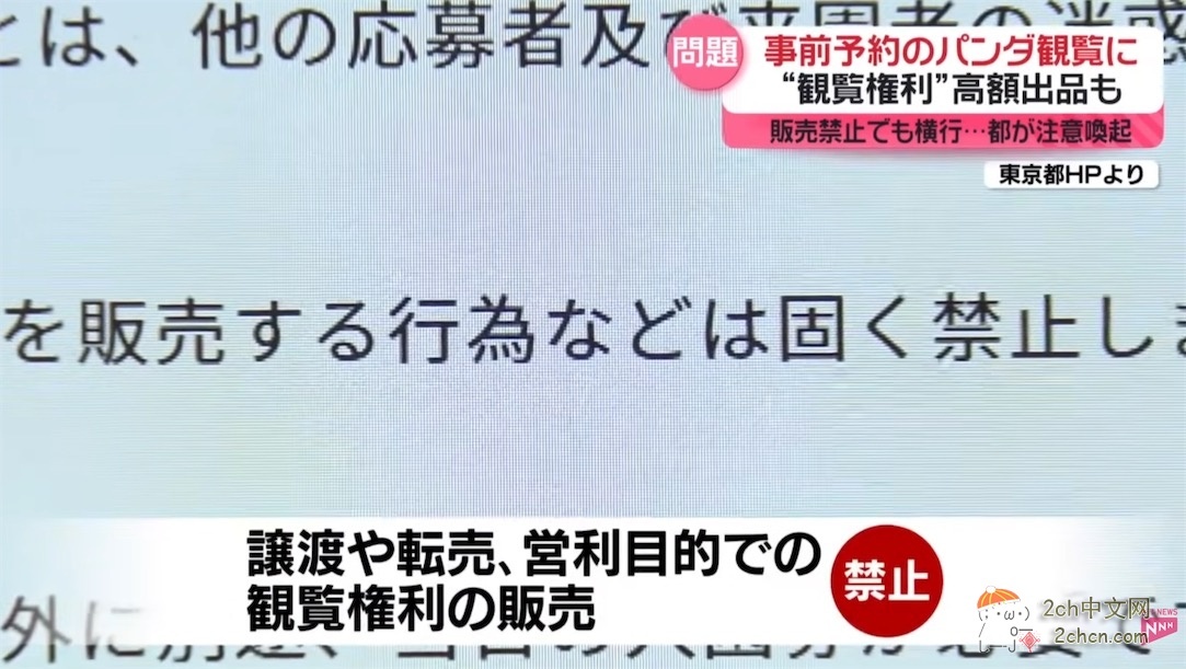 日本人开始了“熊猫预约争夺战” 黄牛在网上高价倒卖