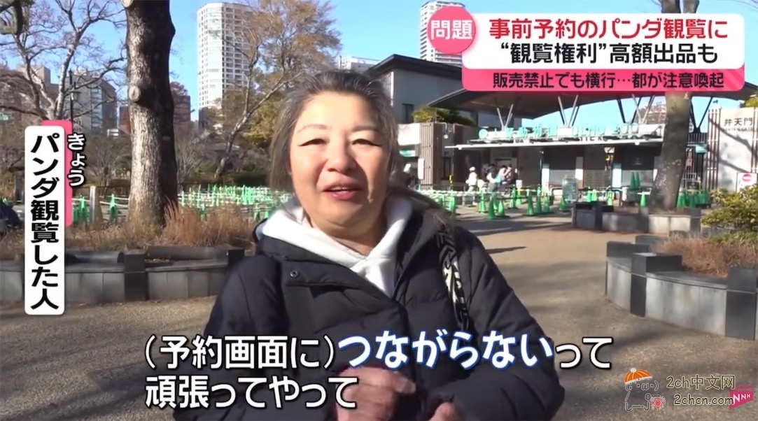 日本人开始了“熊猫预约争夺战” 黄牛在网上高价倒卖