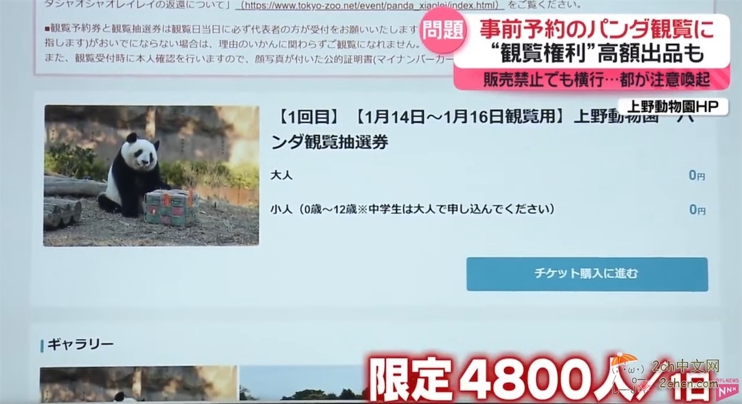 日本人开始了“熊猫预约争夺战” 黄牛在网上高价倒卖
