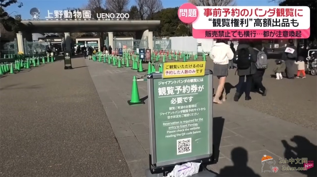 日本人开始了“熊猫预约争夺战” 黄牛在网上高价倒卖