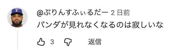 日本人开始了“熊猫预约争夺战” 黄牛在网上高价倒卖