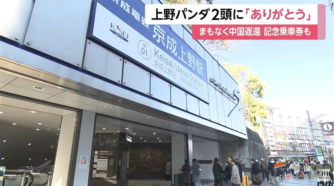 日本人：谢谢大熊猫晓晓和蕾蕾