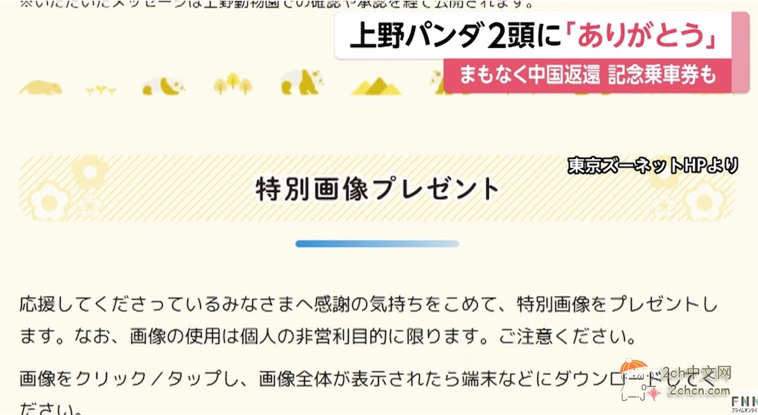 日本人：谢谢大熊猫晓晓和蕾蕾