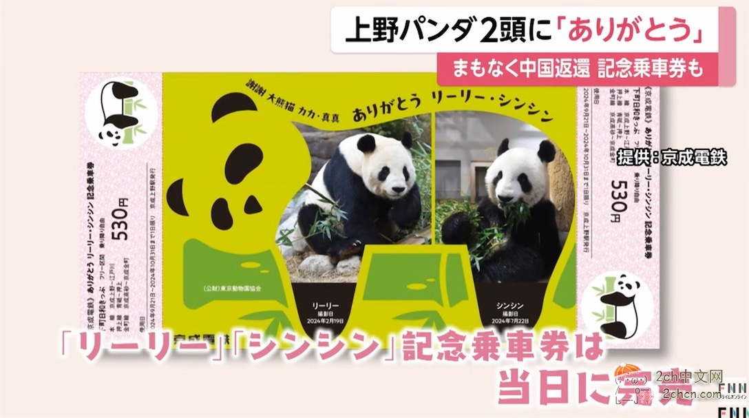 日本人：谢谢大熊猫晓晓和蕾蕾
