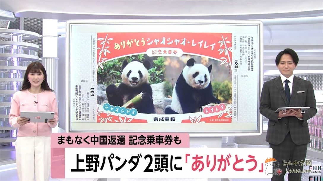 日本人：谢谢大熊猫晓晓和蕾蕾