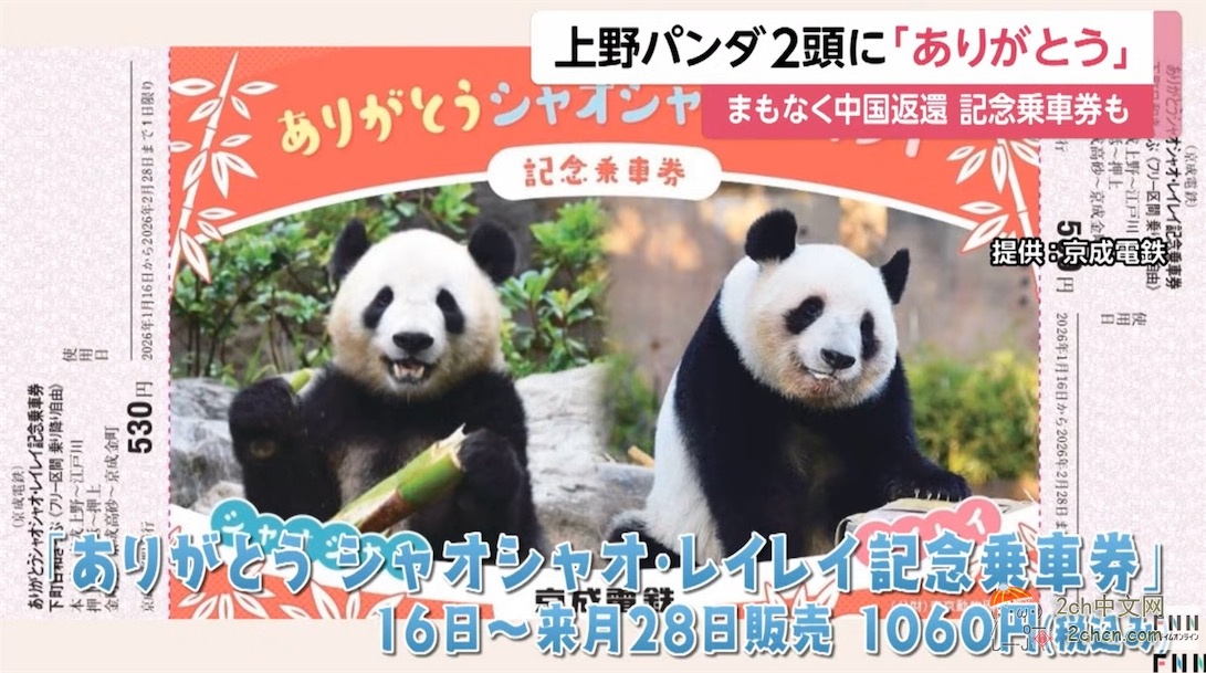 日本人：谢谢大熊猫晓晓和蕾蕾