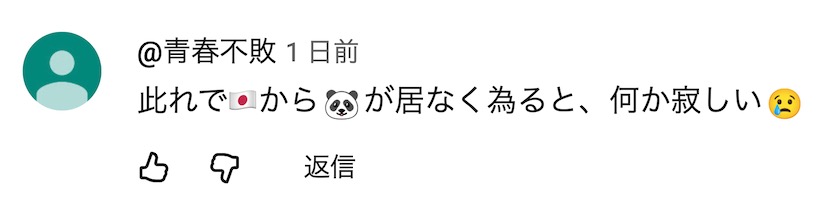 日本人：谢谢大熊猫晓晓和蕾蕾