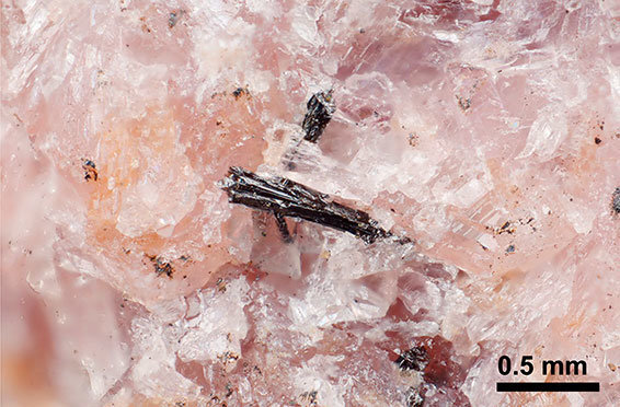 日本网民：【好消息】群马县发现了稀土