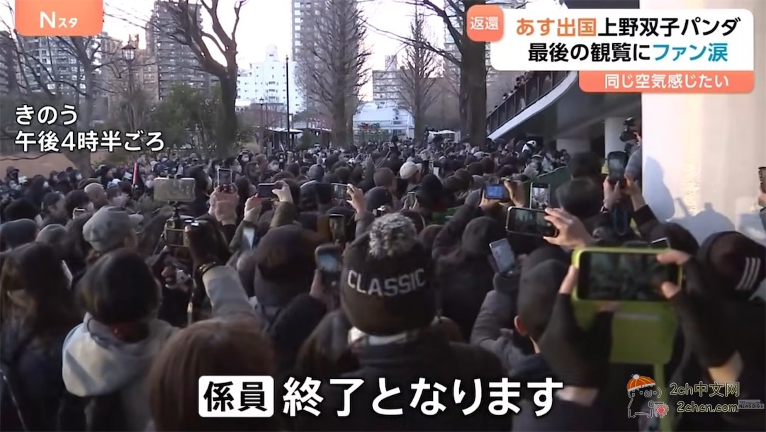 日本的大熊猫明天回中国,日本熊猫粉丝哭着告别,「想感受相同的空气」