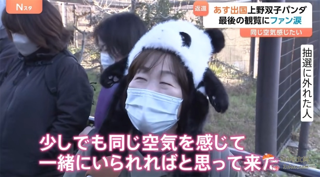 日本的大熊猫明天回中国,日本熊猫粉丝哭着告别,「想感受相同的空气」