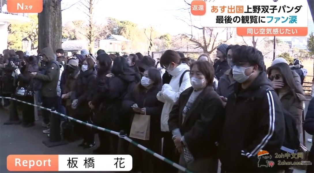 日本的大熊猫明天回中国,日本熊猫粉丝哭着告别,「想感受相同的空气」