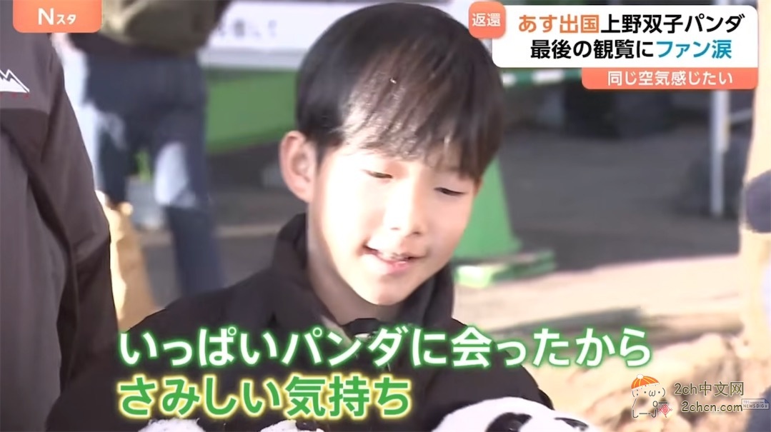 日本的大熊猫明天回中国,日本熊猫粉丝哭着告别,「想感受相同的空气」