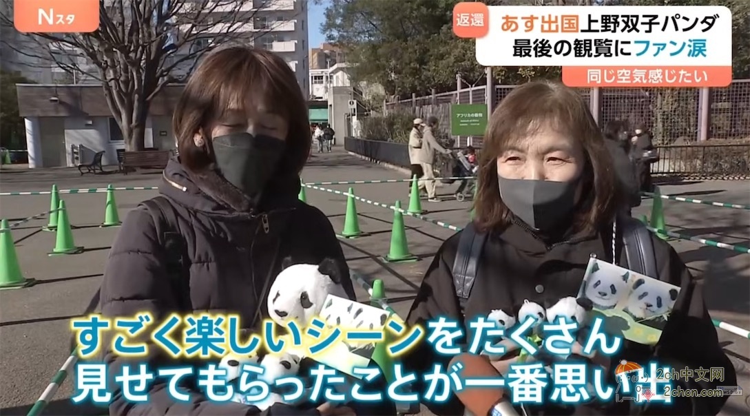 日本的大熊猫明天回中国,日本熊猫粉丝哭着告别,「想感受相同的空气」