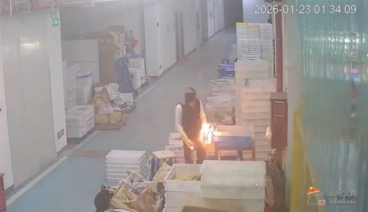 日本网民：中国大型手办厂商工厂发生火灾，一名工人“蓄意纵火致《碧蓝航线》《明日方舟》等部分产品被烧毁