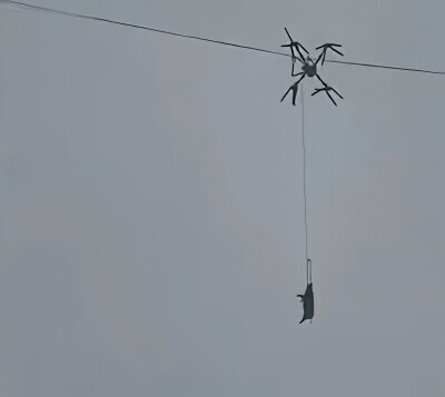 2ch：村民用无人机运猪，挂在电线上导致停电10小时