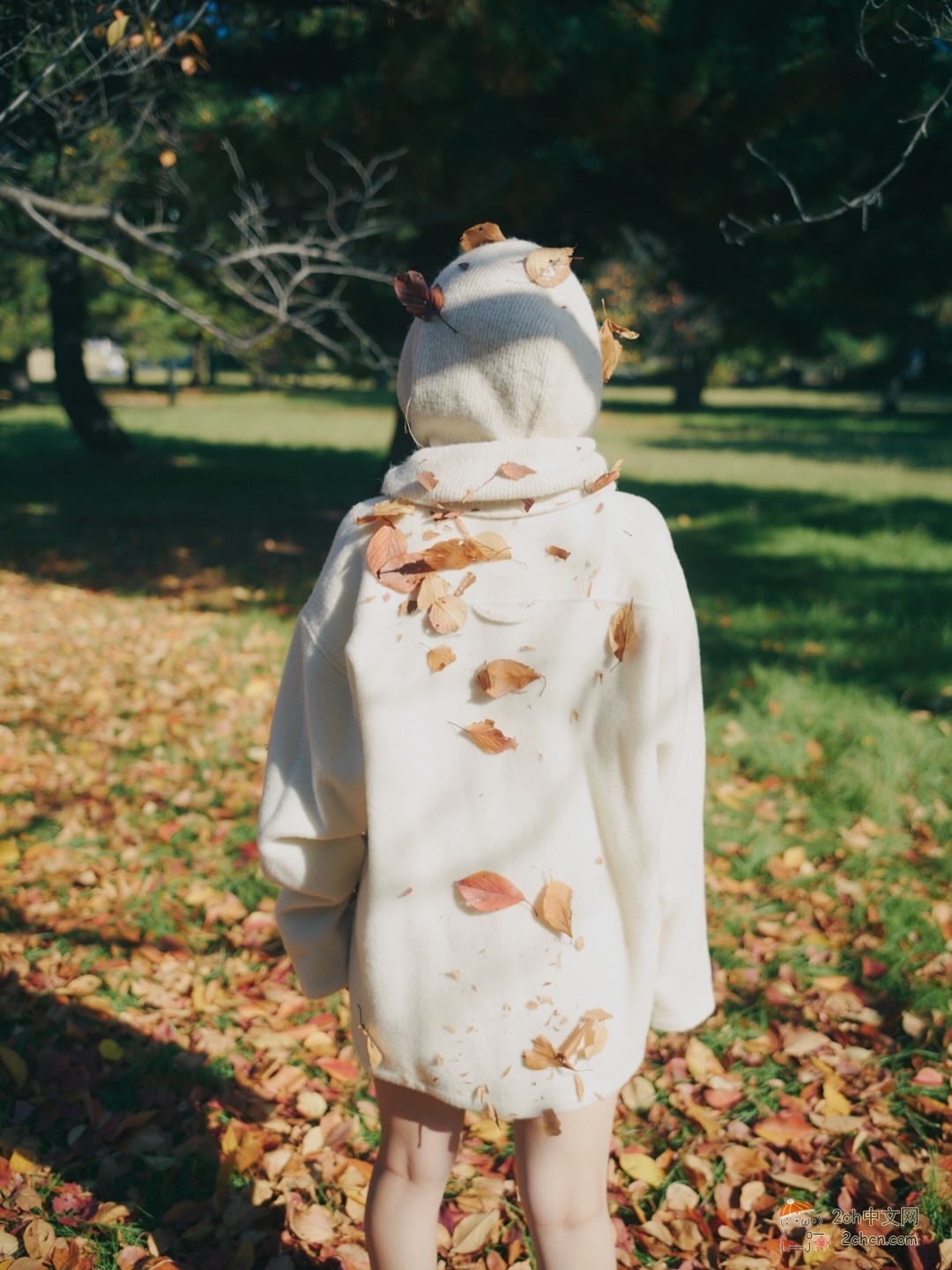 2ch:大原优乃翻跟头了