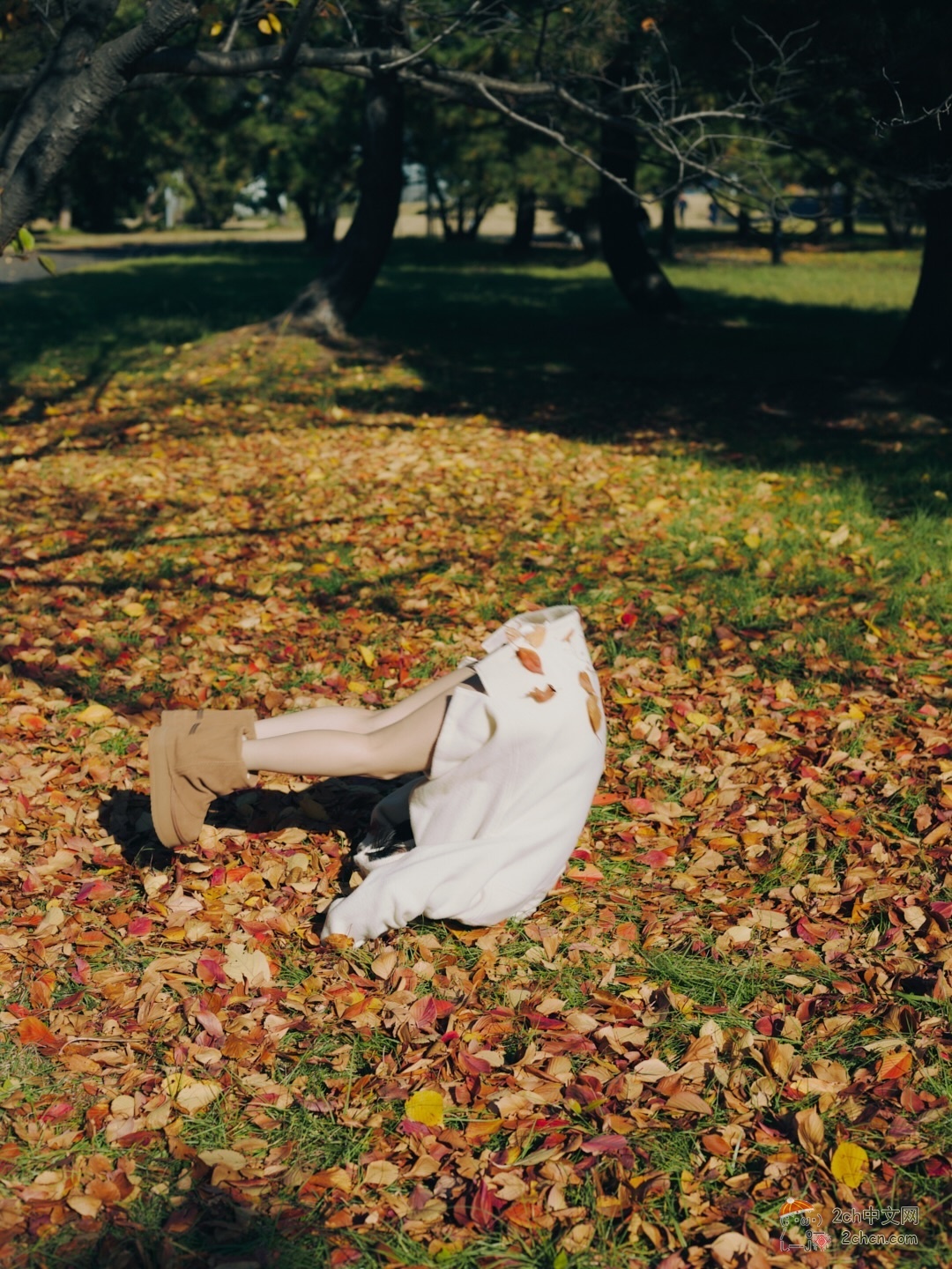 2ch:大原优乃翻跟头了